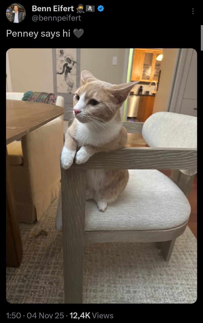 Screenshot of Benn Eifert tweeting 'Penney says hi' with a photo of the cat on a dining chair